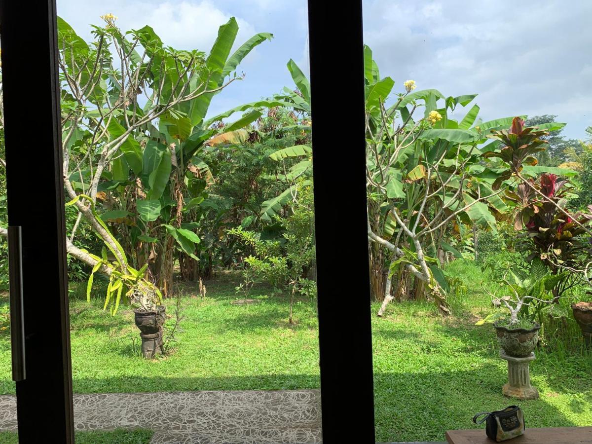 Wonder-Land Villa Ubud Esterno foto