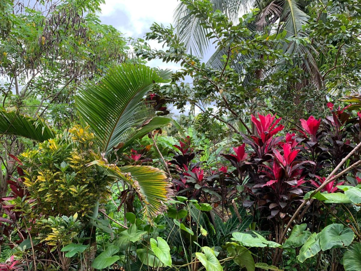 Wonder-Land Villa Ubud Esterno foto
