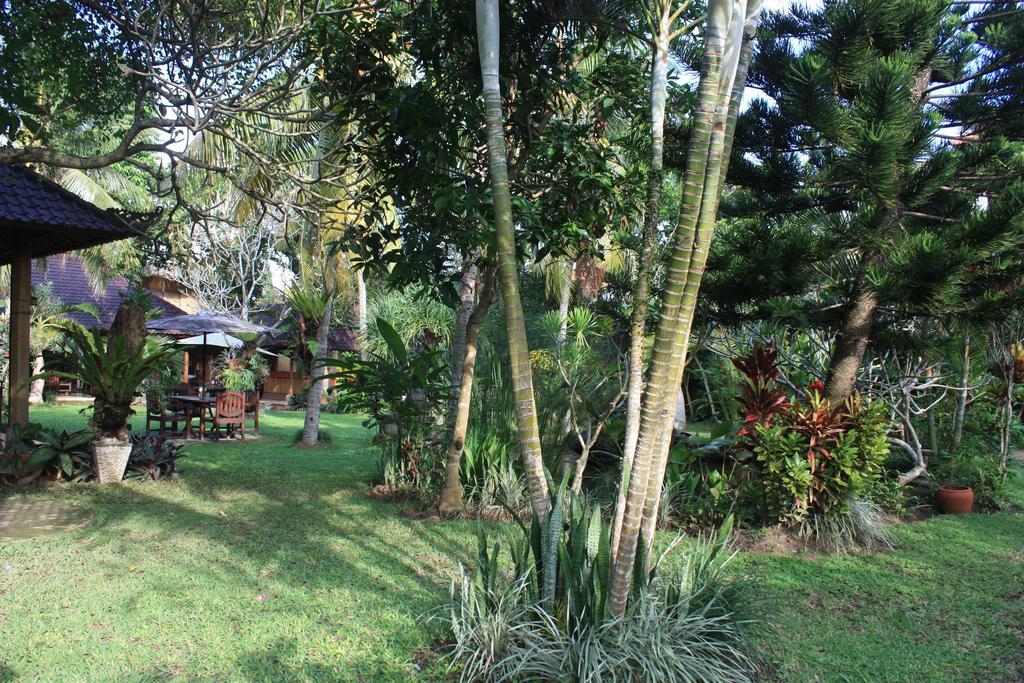 Wonder-Land Villa Ubud Esterno foto