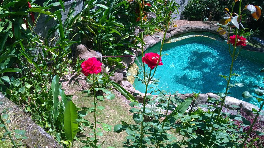 Wonder-Land Villa Ubud Esterno foto